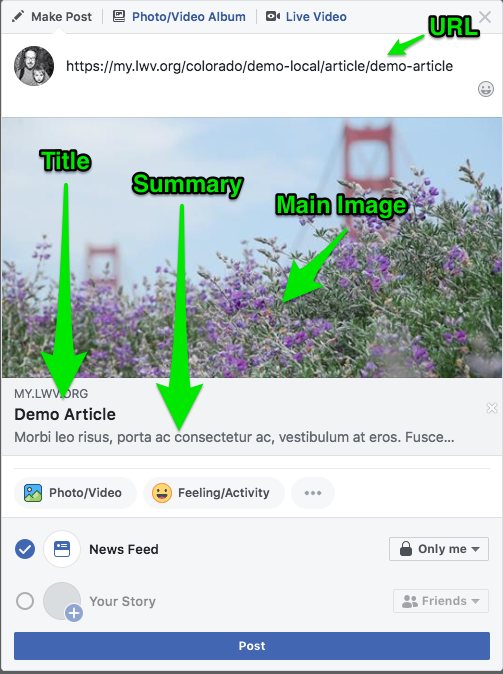 Example of Facebook &quot;What&#039;s on your mind?&quot; pulling Title, Summary and Main Image metadata.