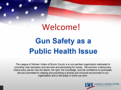 american flag picture.  Welcome. Gun Safety as a public health issue