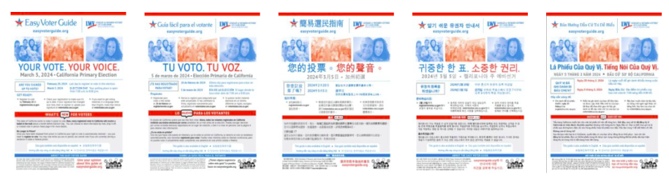 Easy Voter Guide