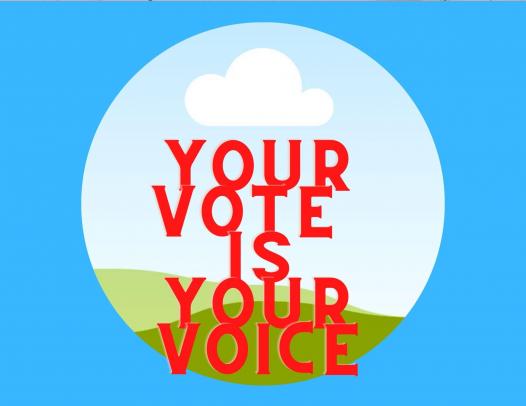 Your Voice Is Your Vote!