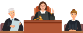 Rule of Law Image may 2025