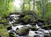 Climate Change Image 030325