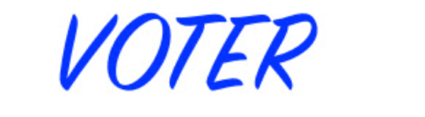 Voter