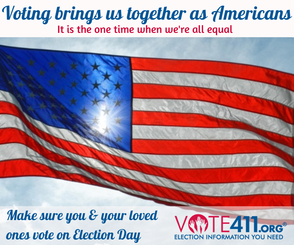 Vote 411 Vote 411