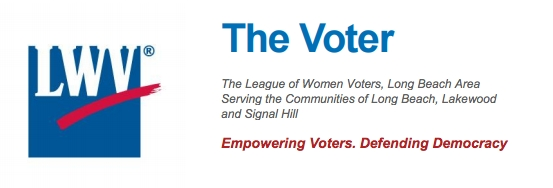 The Voter2 Image