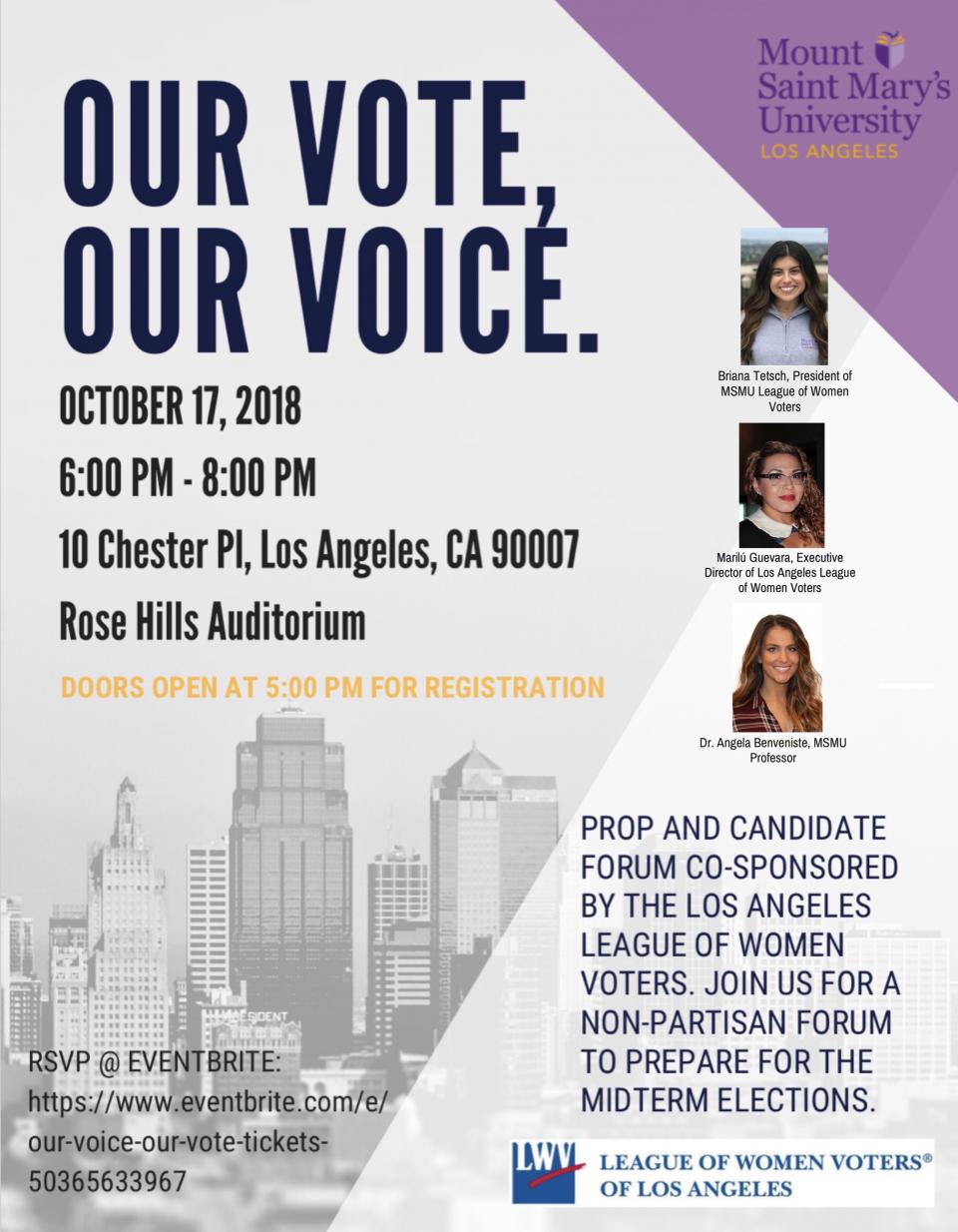 Our Voice Our Vote - MSMU