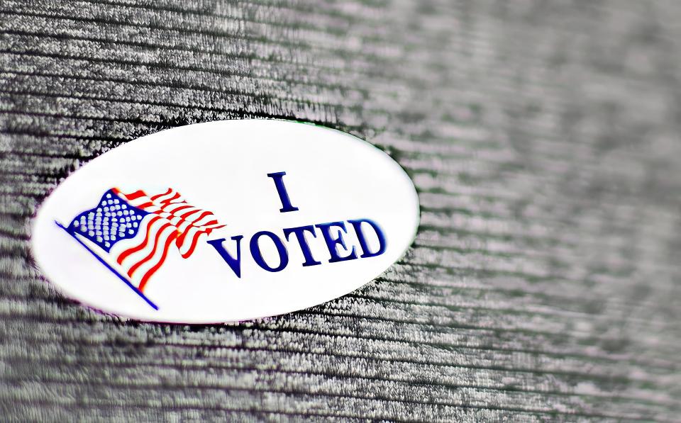 Voting information