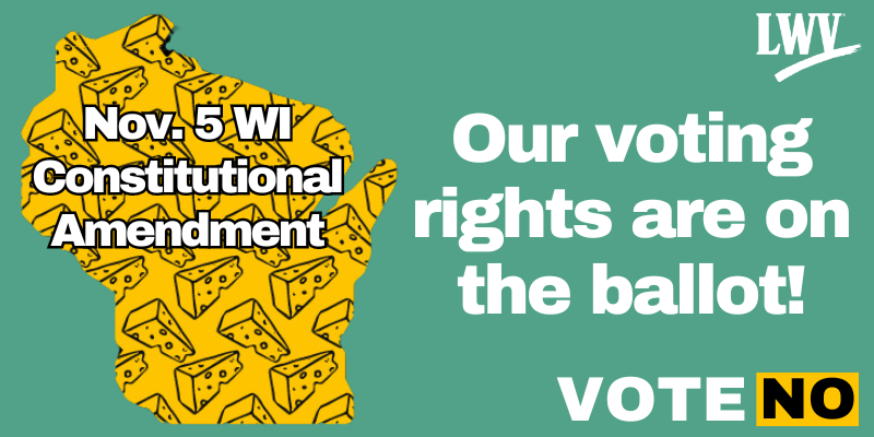 Nov. 5 WI Constitutional Amendment: Our voting rights are on the ballot!