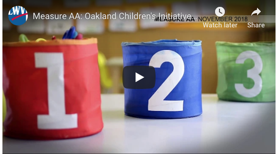 measure AA Ballot Measure picture