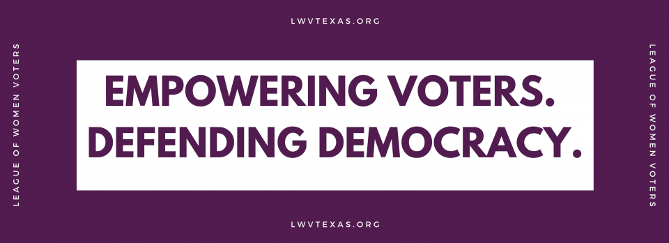 Empowering Voters defending democracy