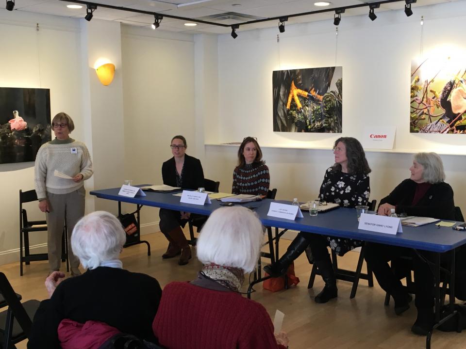 Senator Virginia Lyons, Cary Brown, Michelle Farkas, and Ella Spotswood discussing an inclusive equal rights amendemt to the state constitution Introducing Panel to discuss an inclusive equal rights amendment to the Vermont constitution