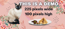 Demo main image thumbnail (225x100px)