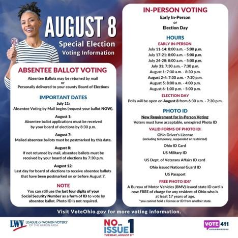 August 8 voting information