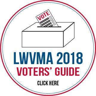 2018 Voters' Guide image