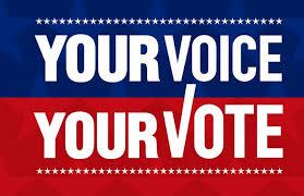 Your Voice | Your Vote