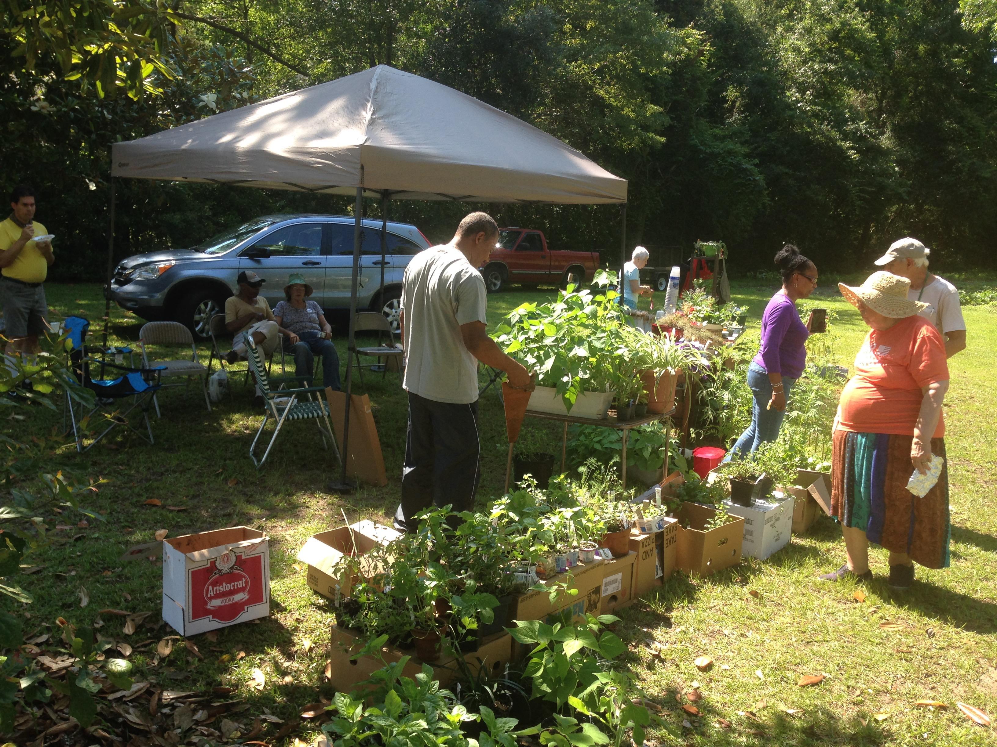 Members host Plant Sale fundraiser and Voter Outreach in Conway