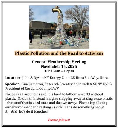 Nov meeting - Plastic Pollution