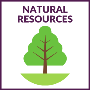square graphic that says "NATURAL RESOURCES" with a tree below” and a purple border around the graphic.