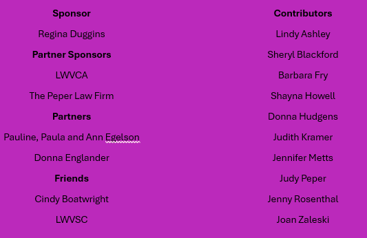 Children's Museum Voting Booth Sponsors