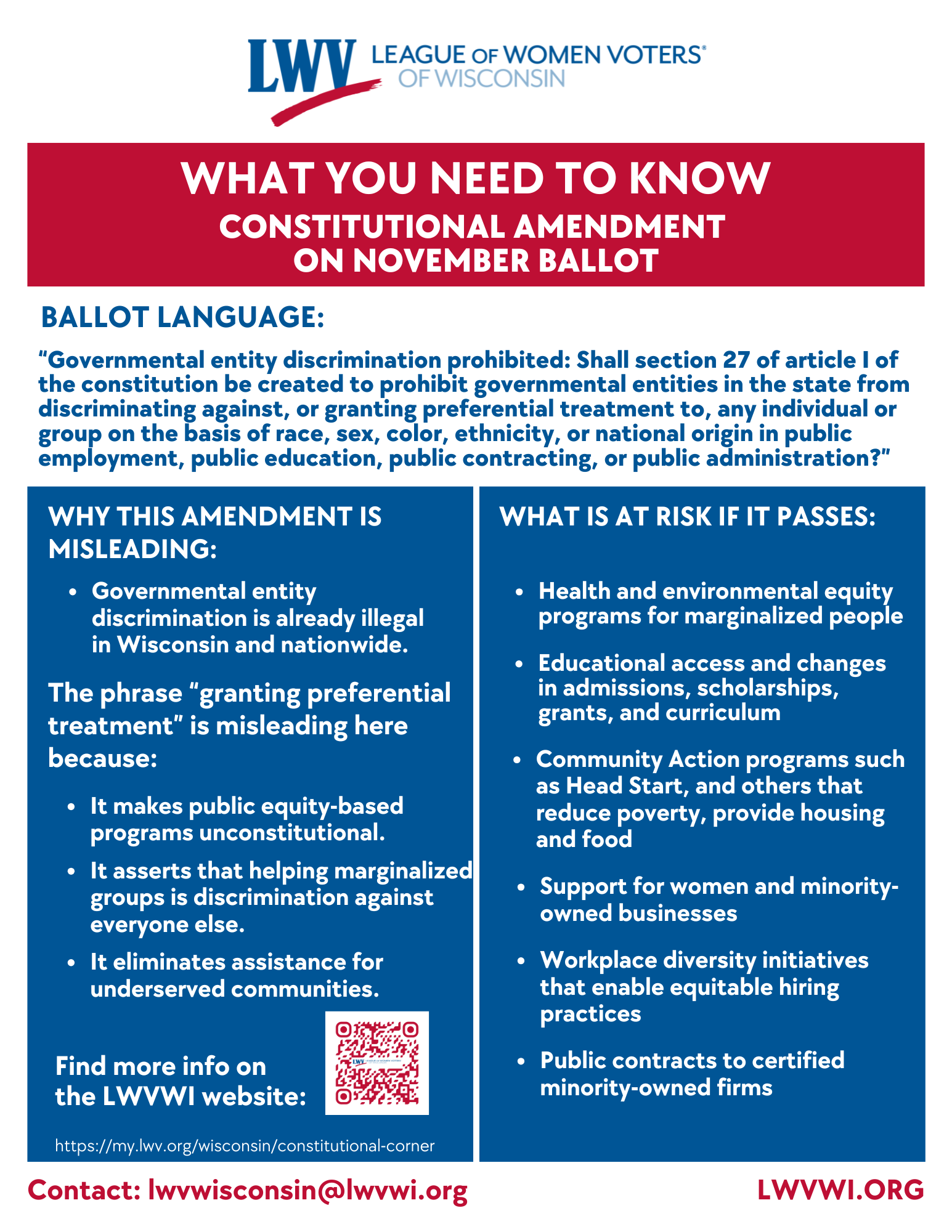 Constitutional amendment flyer