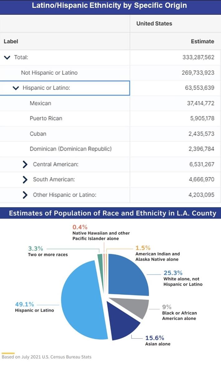 latino ethnicity by origin