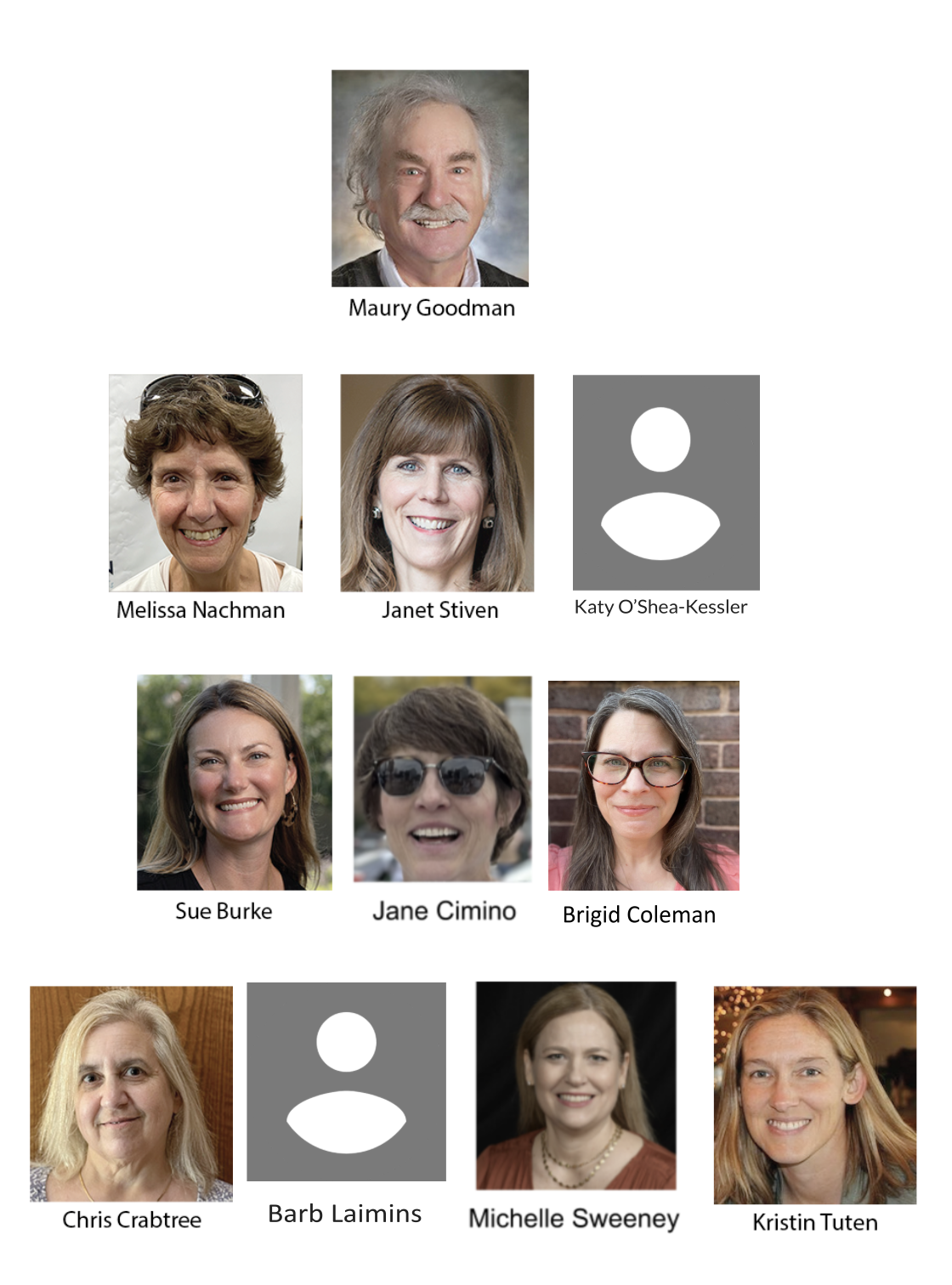 LWV Wheaton Board