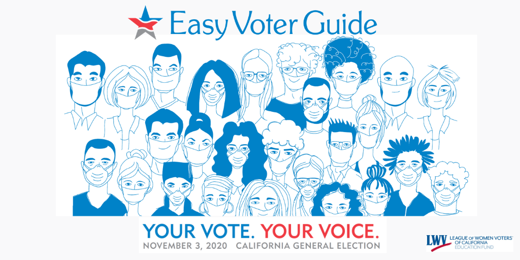 Easy Voter Guide