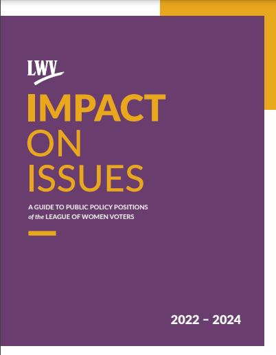 Impact On Issues 2022-2024 Book Cover