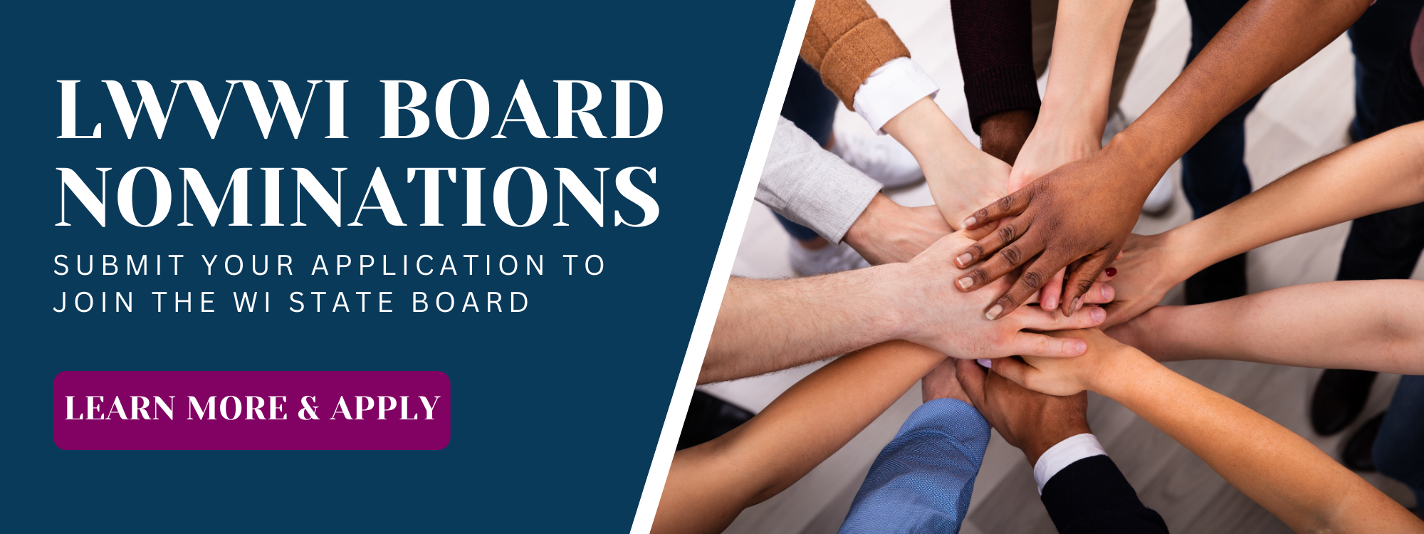 Meg McClane Award for Advocacy Nominations