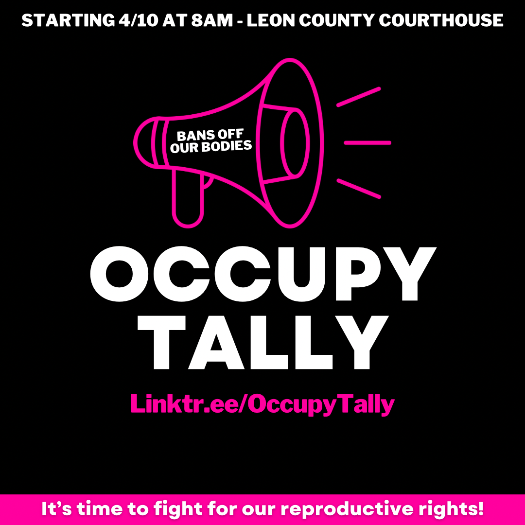 Black background with pink bullhorn graphic and white Occupy Tally text
