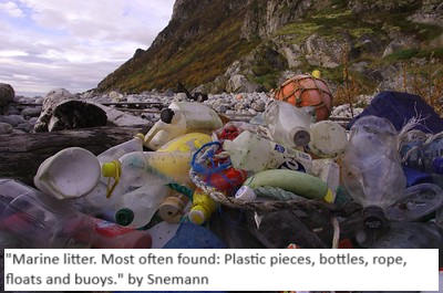 image showing marine litter such as plastic pieces, bottles, ropes, floats and buoys