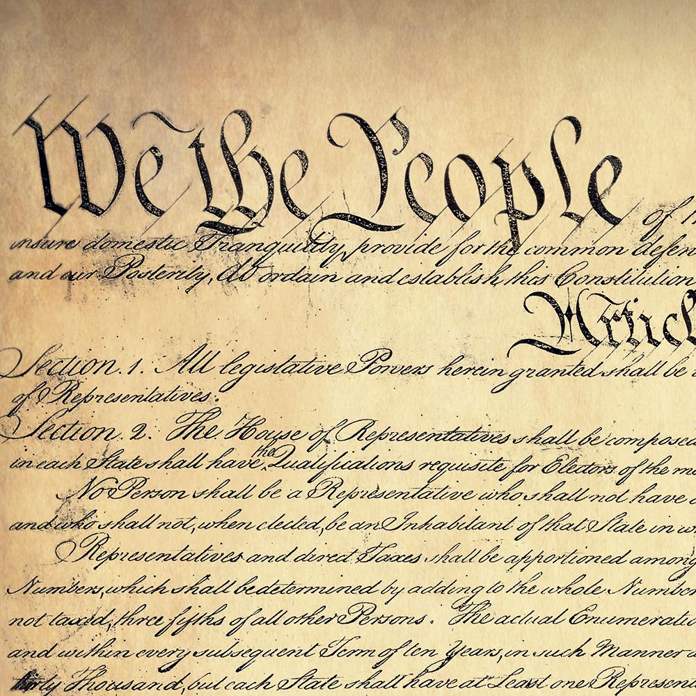 Constitution picture