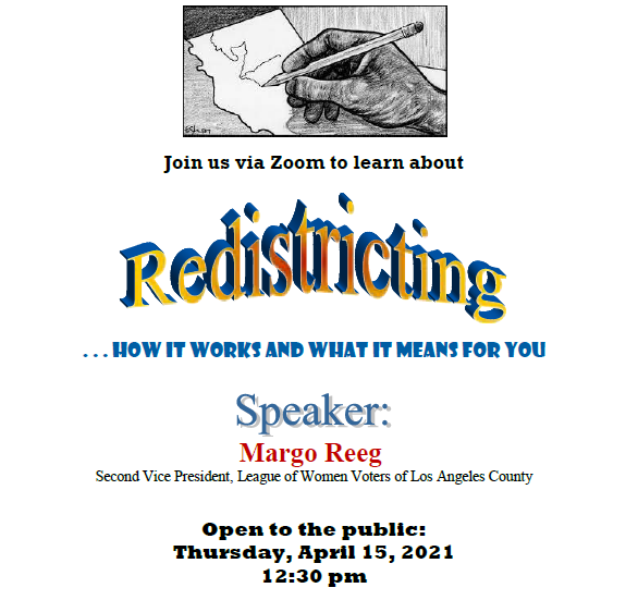 Redistricting Flyer