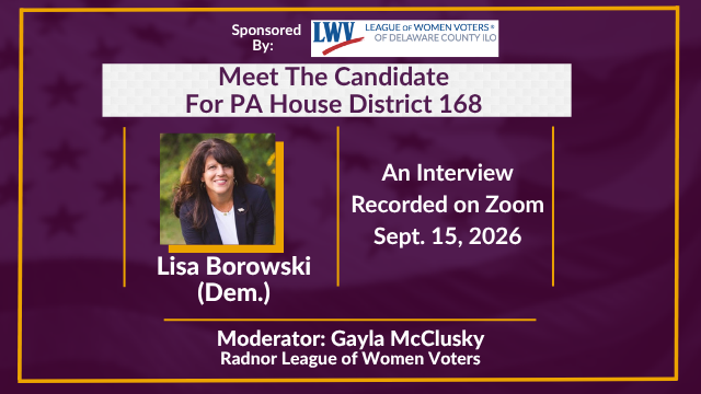 Meet the Candidate - Lisa Borowski
