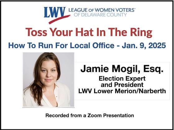 How to Run For Local Office Sidebar Graphic