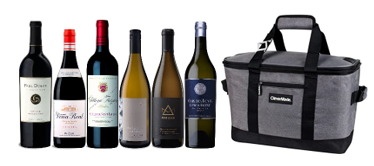 assortment of wine bottles with an insulated cooler w/carrying handle