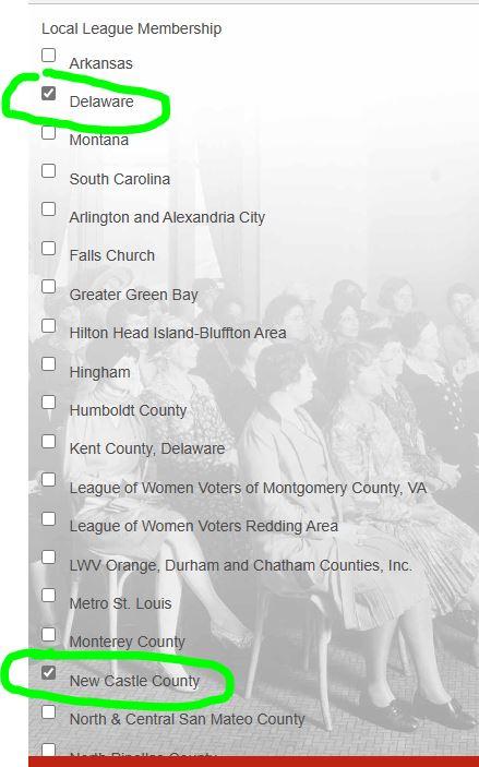 Screenshot shown with Delaware and New Castle County Leagues selected