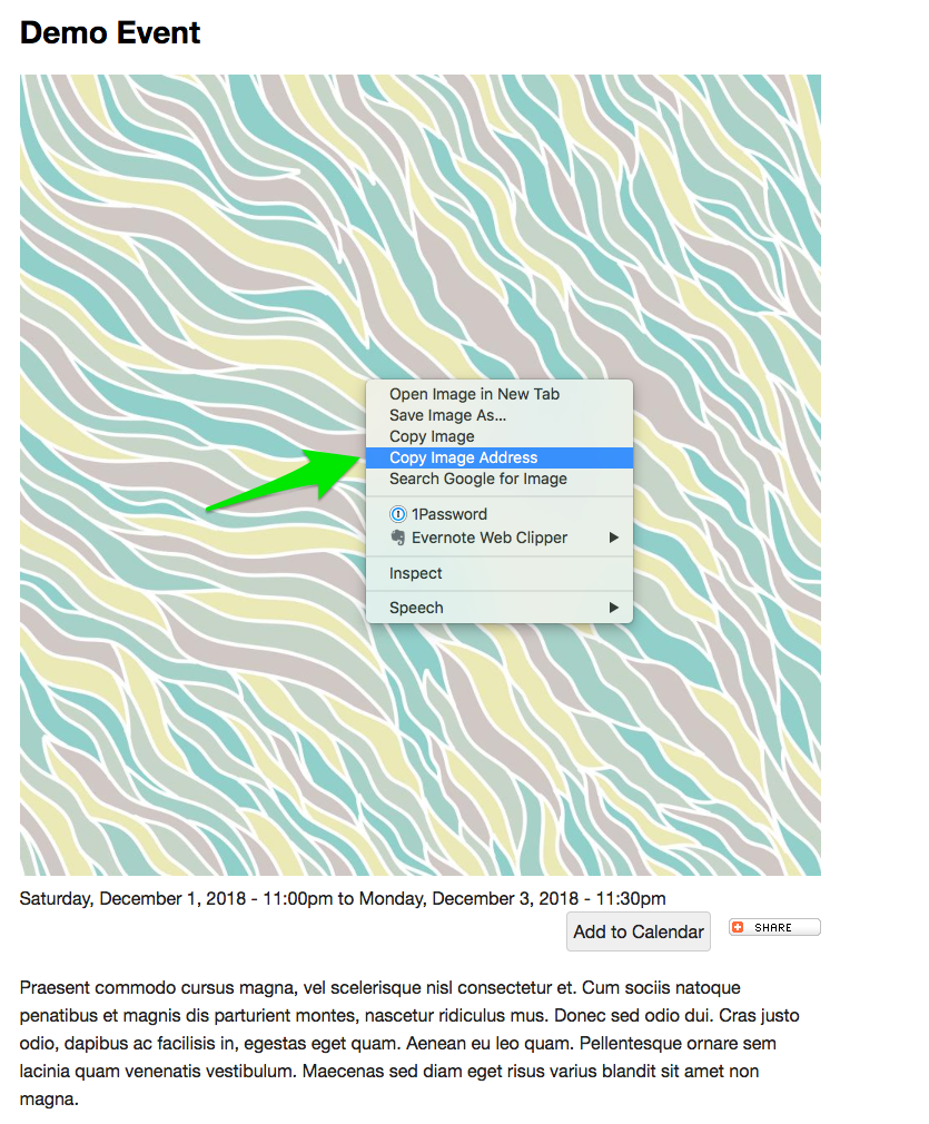 Example of "Copy Image Address" in the right-click pop-up window in Google Chrome