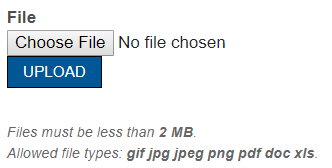 Example of File form component