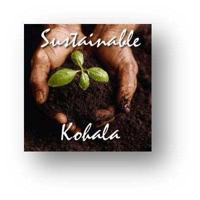 Sustainable Kohala image of two hands holding a seedling