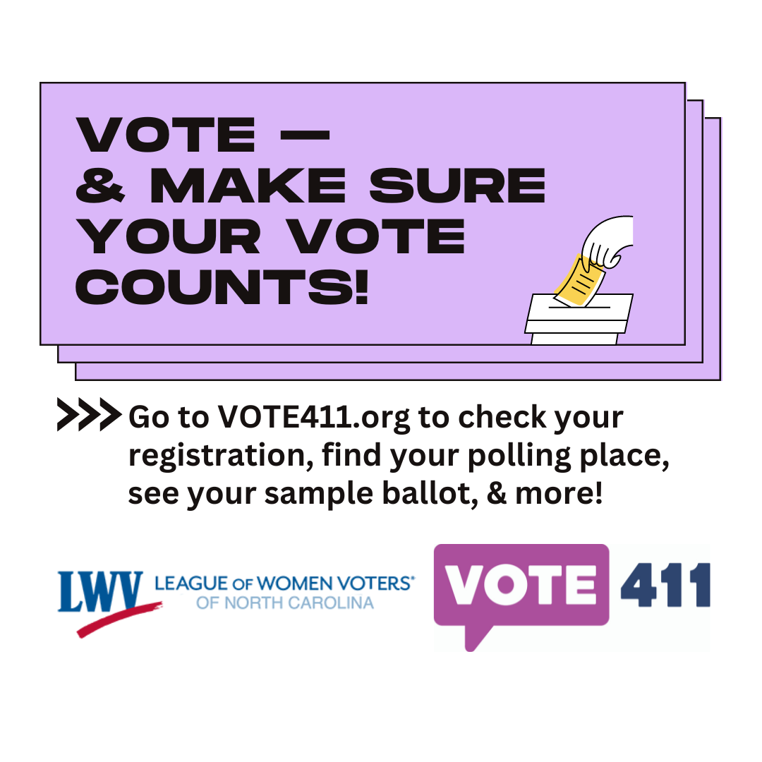vote and make sure your vote counts graphic