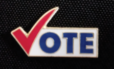 Enamel VOTE pin