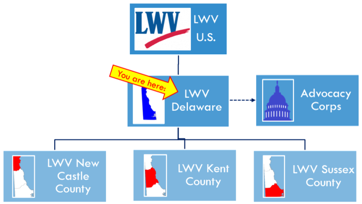 hierarchical organizational chart shown, LWVUS at top level, LWVDE middle level, Delaware local Leagues at bottom