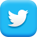Twitter social media icon