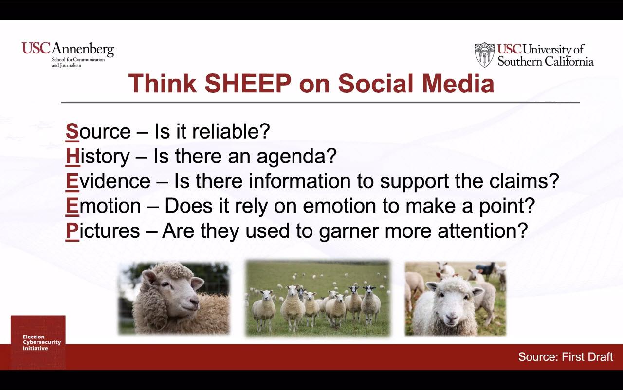Think SHEEP