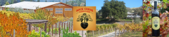 Rock Creek Vineyard