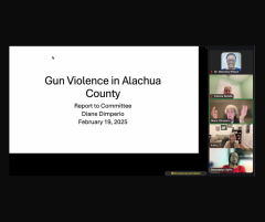 Gun Violence Prevention and Safety Committee meeting screenshot 02.19.25