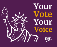 Your Vote Your Voice in white and gold text with Statue of Liberty outline in white on purple background