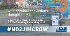 AB2466, voting rights, jim crow, discrimination, ACLU, grassroots advocacy