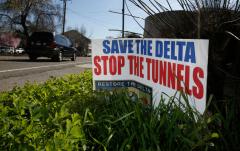 Save the delta stop the tunnels no waterfix